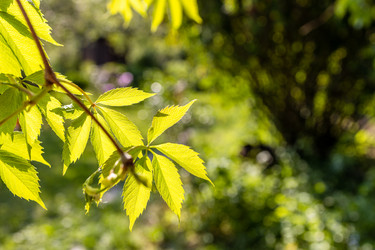 Similar image 21479091