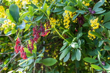 Similar image 21479011