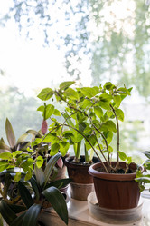 Similar image 21479012