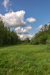 Similar image 21480342