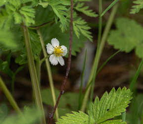 Similar image 21480343