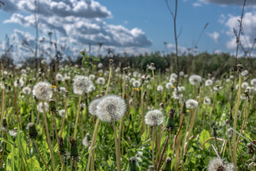 Similar image 21480345