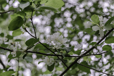 Similar image 21480347