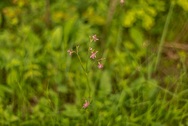 Similar image 21480349