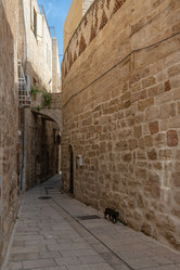 Similar image 21480437