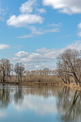 Similar image 21480441