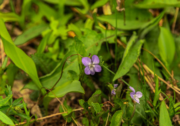 Similar image 21480443