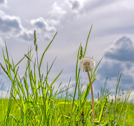 Similar image 21480446