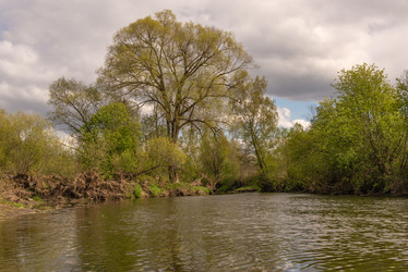 Similar image 21479444