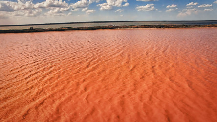 Similar image 21479013