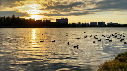 Similar image 21479015