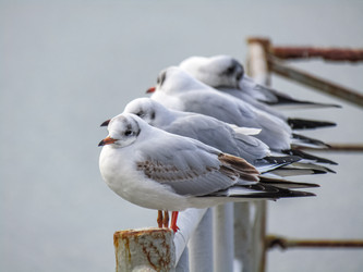 Similar image 21479446