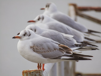 Similar image 21480355