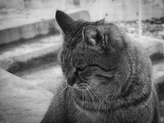 Similar image 21480358