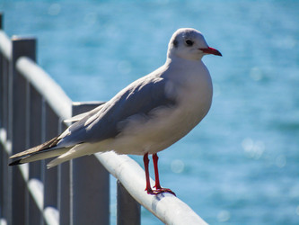 Similar image 21480359