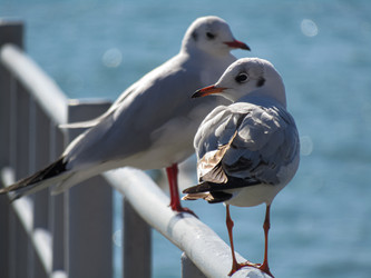 Similar image 21480360