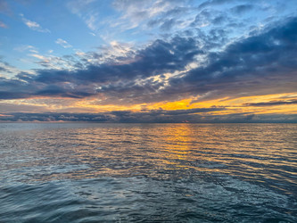 Similar image 21479449