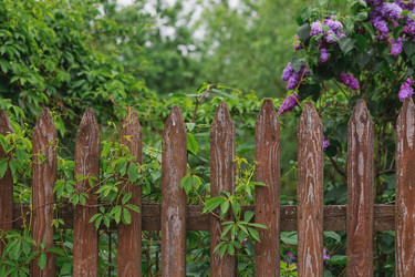 Similar image 21479737