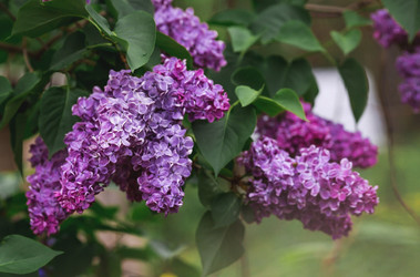 Similar image 21479738