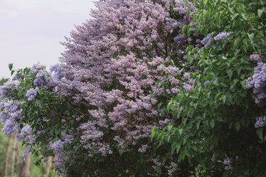 Similar image 21479739