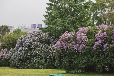 Similar image 21479741