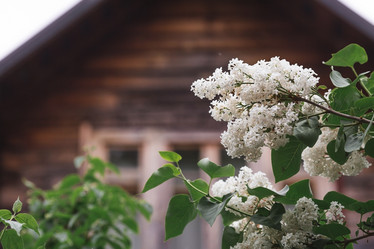 Similar image 21479742