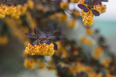 Similar image 21479743