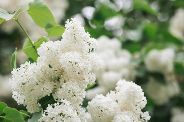 Similar image 21479745