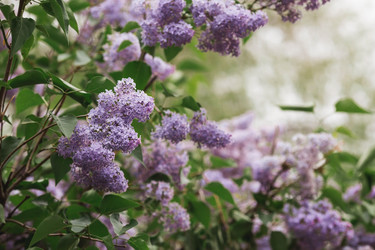 Similar image 21479746