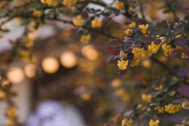 Similar image 21479747