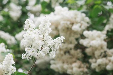 Similar image 21479748