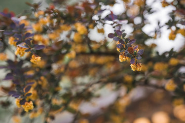 Similar image 21479749