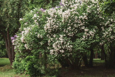 Similar image 21479751