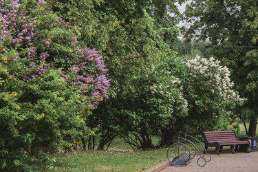 Similar image 21479753