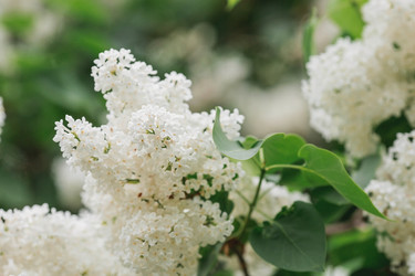 Similar image 21479754