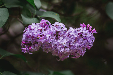 Similar image 21479756