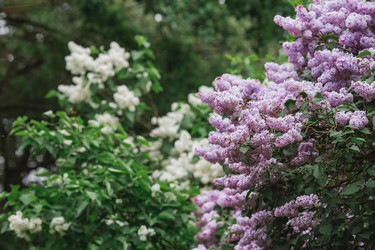 Similar image 21479758