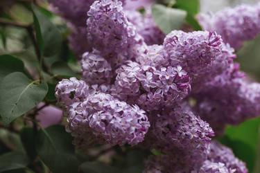 Similar image 21479760