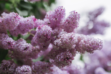 Similar image 21479762