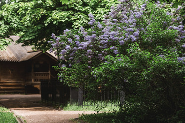 Similar image 21479763