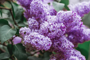 Similar image 21479764