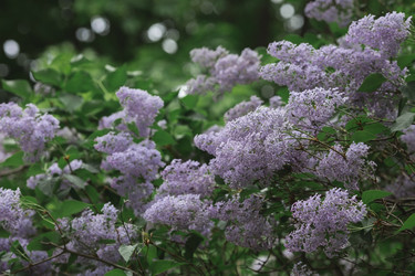 Similar image 21479765