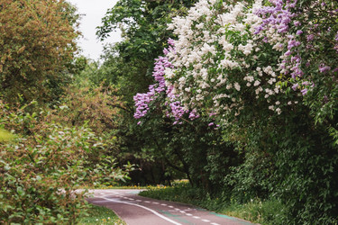 Similar image 21479766