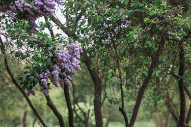 Similar image 21479768