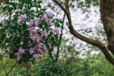 Similar image 21479774