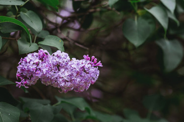 Similar image 21479776