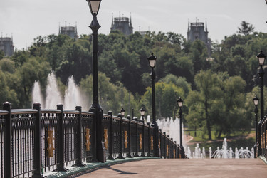 Similar image 21479809