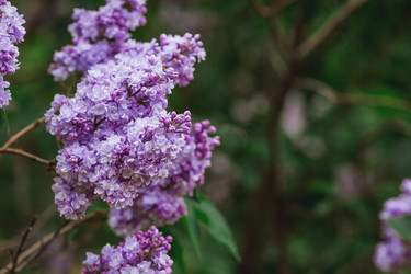 Similar image 21479860