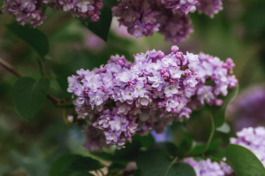 Similar image 21479870