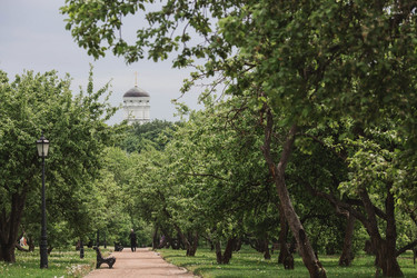 Similar image 21479871